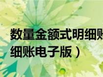 数量金额式明细账的登记要求（数量金额式明细账电子版）