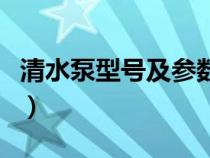 清水泵型号及参数及瓦数（清水泵型号及参数）