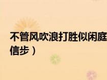 不管风吹浪打胜似闲庭信步的分析（不管风吹浪打胜似闲庭信步）