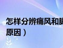 怎样分辨痛风和脚痛的现象（脚腕疼痛是什么原因）