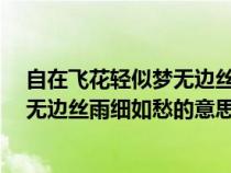 自在飞花轻似梦无边丝雨细如愁的意思?（自在飞花轻似梦无边丝雨细如愁的意思）