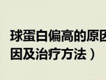 球蛋白偏高的原因百度百科（球蛋白偏高的原因及治疗方法）