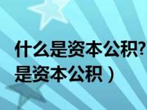 什么是资本公积?它包括哪些具体内容?（什么是资本公积）