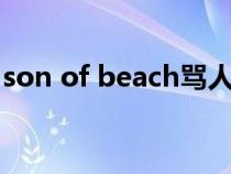 son of beach骂人的话（beach骂人的意思）