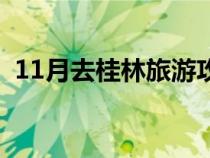 11月去桂林旅游攻略（11月份适合去桂林）