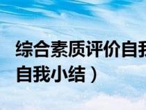 综合素质评价自我小结600字（综合素质评价自我小结）