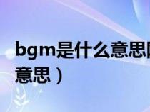 bgm是什么意思网络用语怎么说（bm是什么意思）