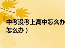 中考没考上高中怎么办?有哪些出路?湖北（中考没考上高中怎么办）