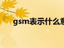 gsm表示什么意思（gsm是什么单位）