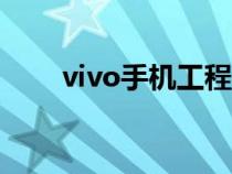 vivo手机工程模式指令（手机指令）