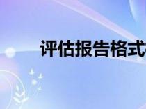 评估报告格式模板（评估报告格式）