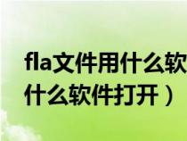 fla文件用什么软件打开信息考试（fla文件用什么软件打开）