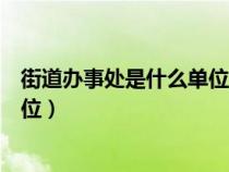 街道办事处是什么单位性质（街道办事处属于什么性质的单位）