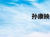 孙康映雪读书（孙康）