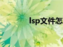 lsp文件怎么打开（lsp文件）