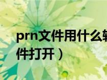 prn文件用什么软件打开（prj文件用什么软件打开）