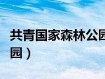 共青国家森林公园烧烤价格（共青国家森林公园）