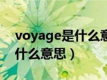 voyage是什么意思中文怎么读（voyage是什么意思）