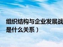 组织结构与企业发展战略的关系（组织结构与企业战略之间是什么关系）