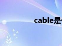 cable是什么意思（cab）