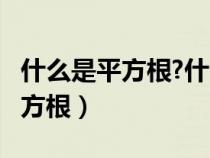 什么是平方根?什么是算数平方根?（什么是平方根）