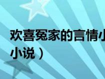 欢喜冤家的言情小说有哪些（欢喜冤家的言情小说）