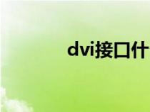 dvi接口什么意思（dvi接口）