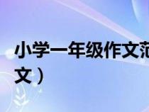 小学一年级作文范文大全（小学一年级作文范文）