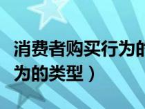 消费者购买行为的类型和特点（消费者购买行为的类型）