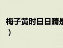 梅子黄时日日晴是什么季节（梅子黄时日日晴）