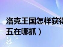 洛克王国怎样获得格斗小八（洛克王国格斗小五在哪抓）