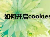 如何开启cookies功能（cookie怎么开启）