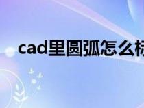 cad里圆弧怎么标注（cad圆弧如何标注）