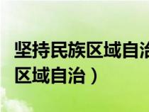 坚持民族区域自治制度的基础（坚持试行民族区域自治）