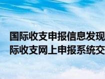 国际收支申报信息发现错误应该由原交易网点进行修改（国际收支网上申报系统交易附言怎么写）