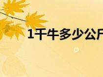 1千牛多少公斤力（1千牛多少公斤）