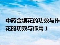 中药金银花的功效与作用点的功效与作用及禁忌（中药金银花的功效与作用）