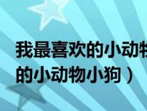 我最喜欢的小动物小狗作文400字（我最喜欢的小动物小狗）