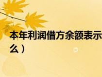 本年利润借方余额表示什么意思（本年利润借方余额表示什么）