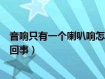 音响只有一个喇叭响怎么回事啊（音响只有一个喇叭响怎么回事）