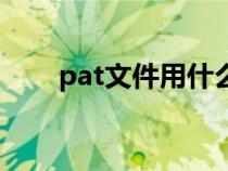 pat文件用什么软件打开（pat文件）