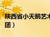 陕西省小天鹅艺术团报名（陕西省小天鹅艺术团）