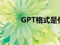 GPT格式是什么意思（gpt格式）