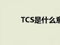 TCS是什么意思（ts是什么意思）