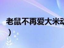 老鼠不再爱大米动漫陈艺鹏（老鼠不再爱大米）