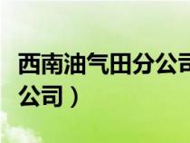 西南油气田分公司川东北气矿（西南油气田分公司）