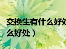 交换生有什么好处能拿学位证吗（交换生有什么好处）