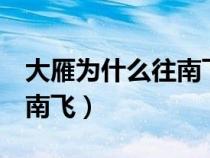 大雁为什么往南飞答案5个字（大雁为什么往南飞）