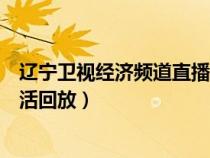 辽宁卫视经济频道直播生活节目回放（辽宁经济频道直播生活回放）