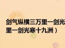 剑气纵横三万里一剑光寒十九洲是什么意思（剑气纵横三千里一剑光寒十九洲）